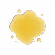 Skin Moderne Professional - Elementals - Bio Fortify