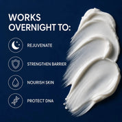 Skin Moderne Retail - Elementals - Moisture Infusion Night